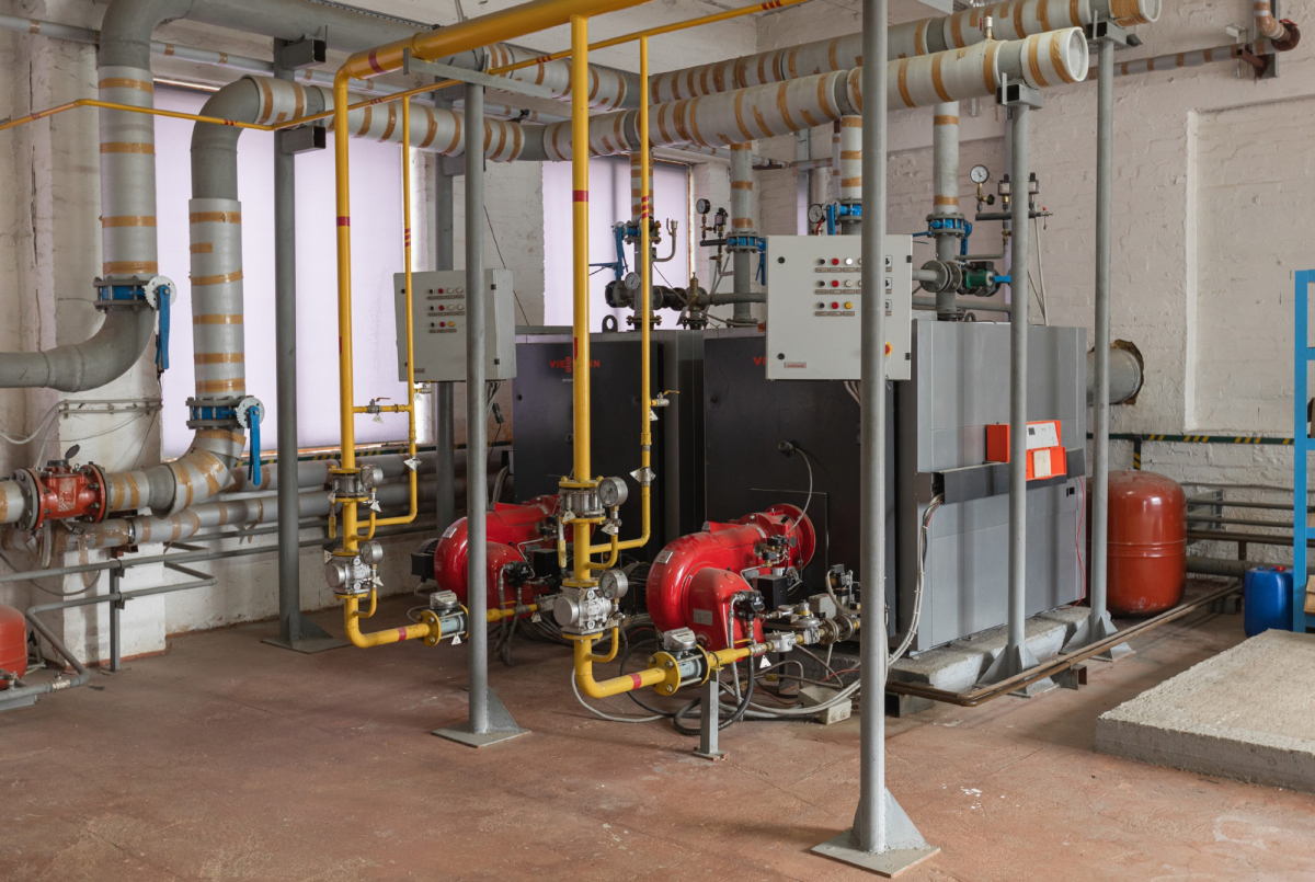 в Кингисеппе