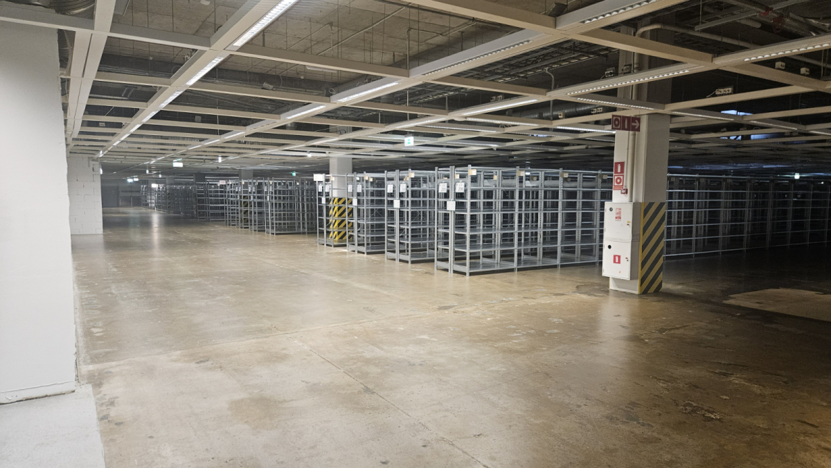 Мега Дыбенко