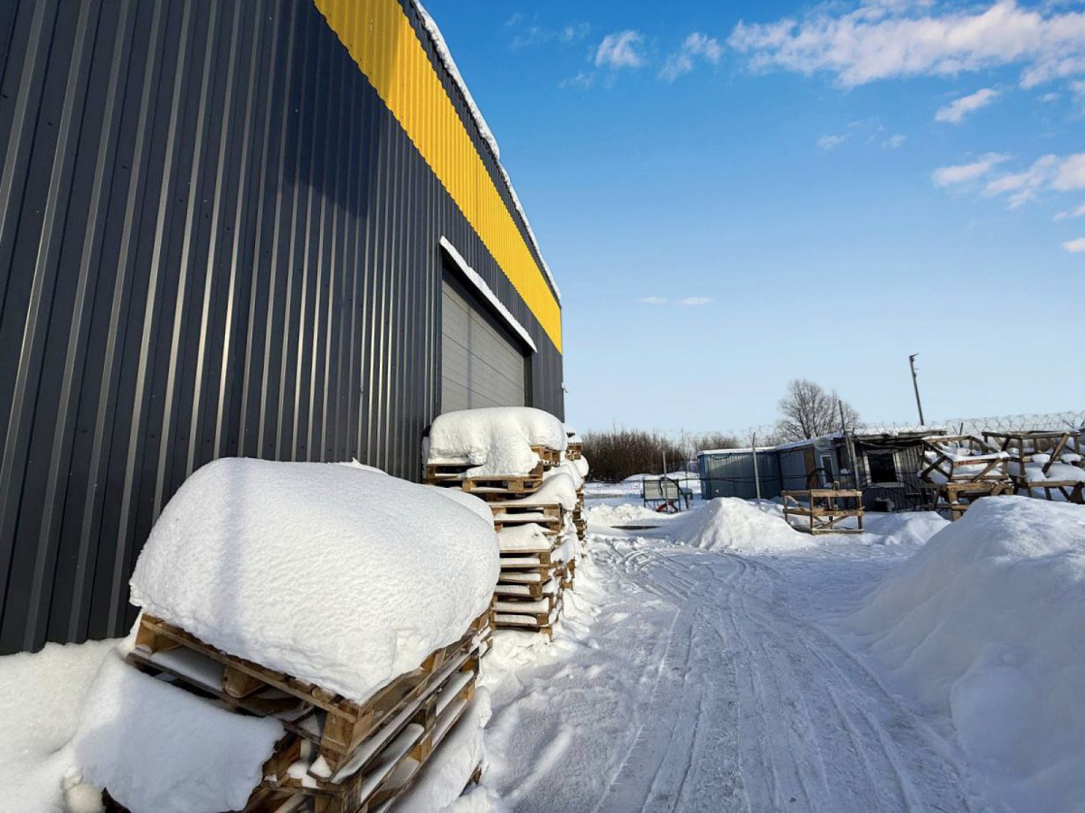 Карвиль Шушары