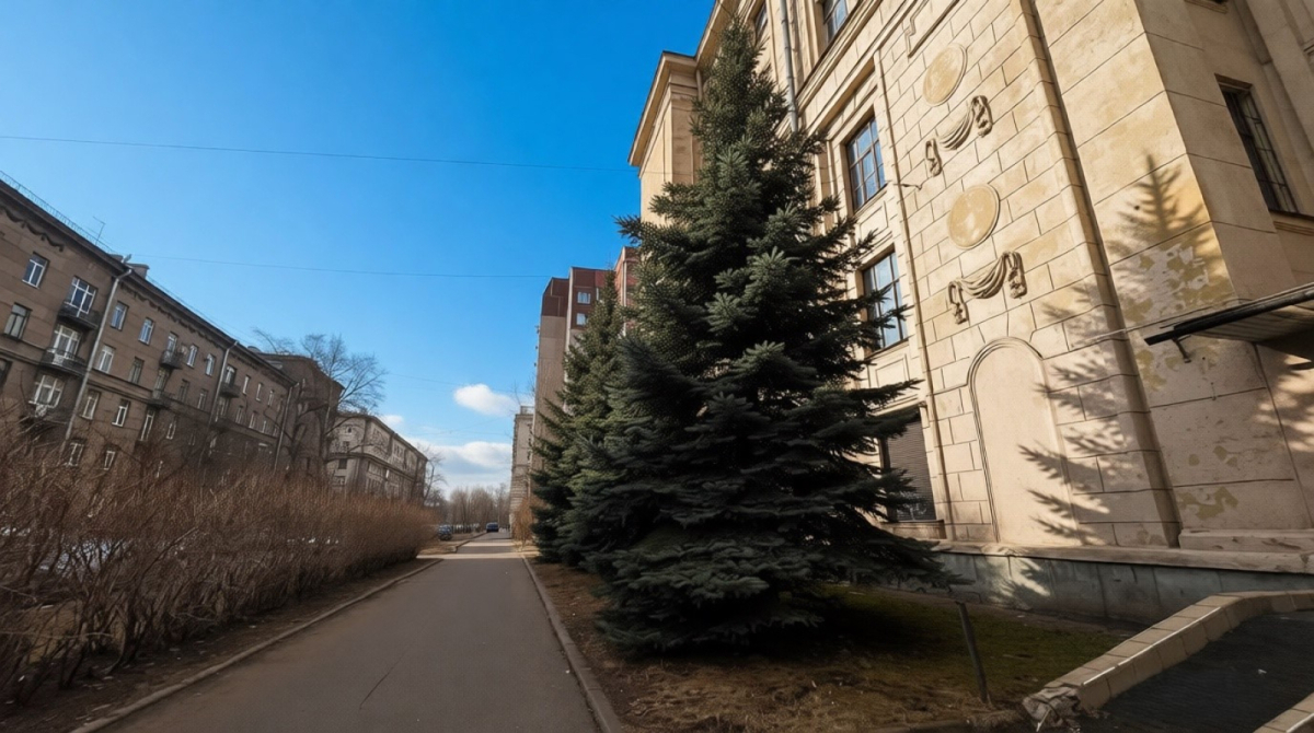 Свеаборгская, 10