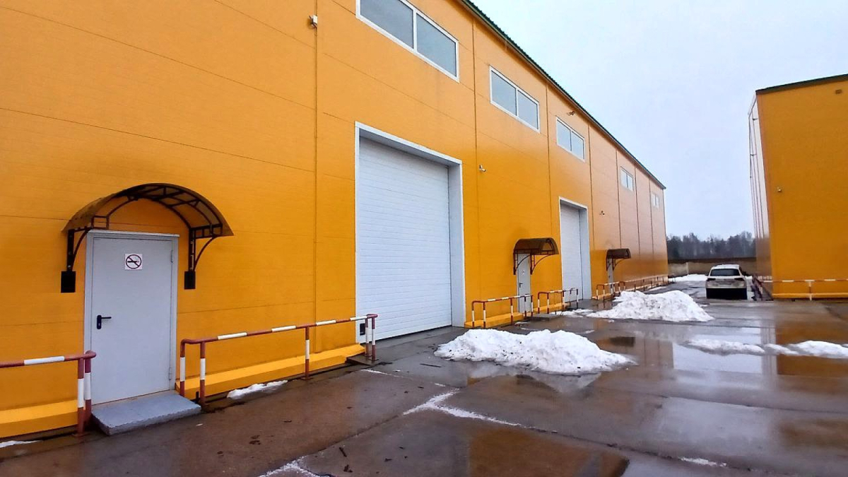 в Новом Девяткино