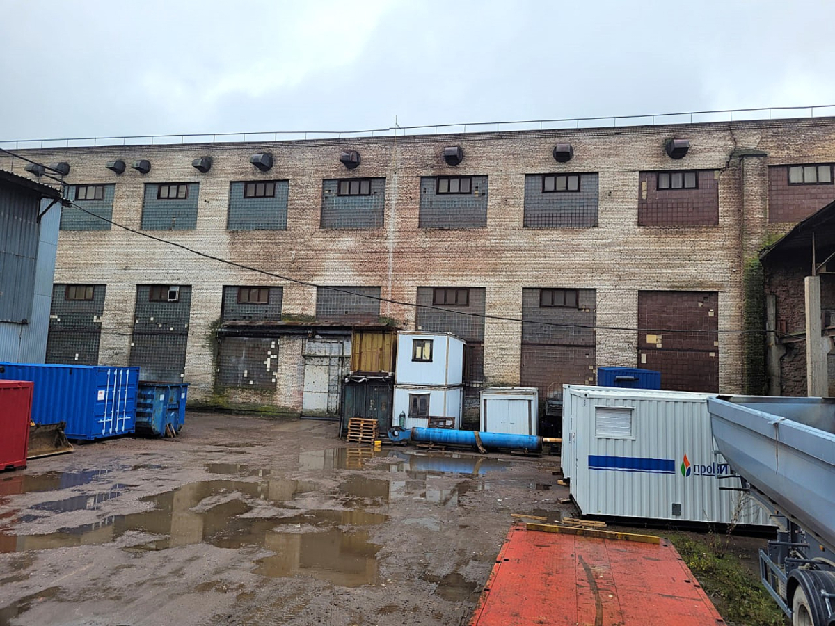 в поселке Стрельна