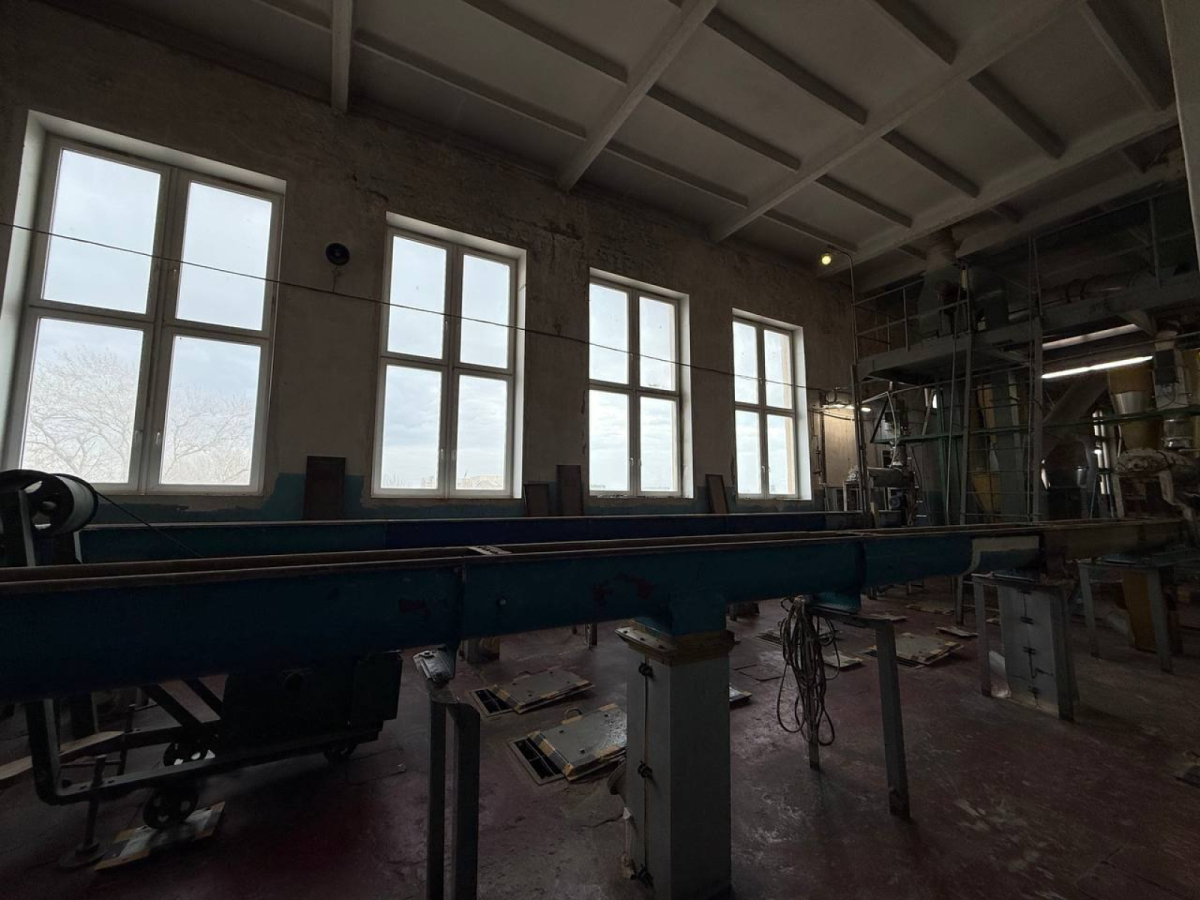 Невская мельница