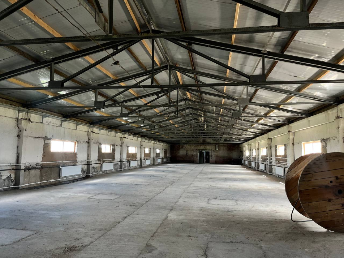 в Новом Свете