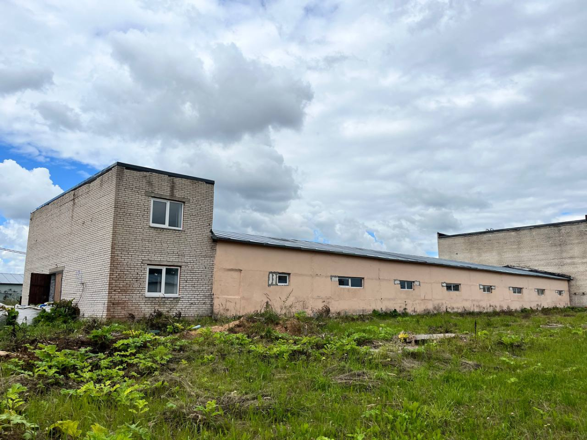 в Новом Свете