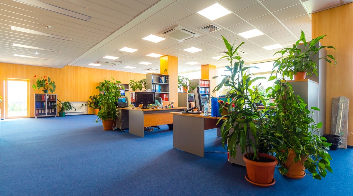 Перспектива