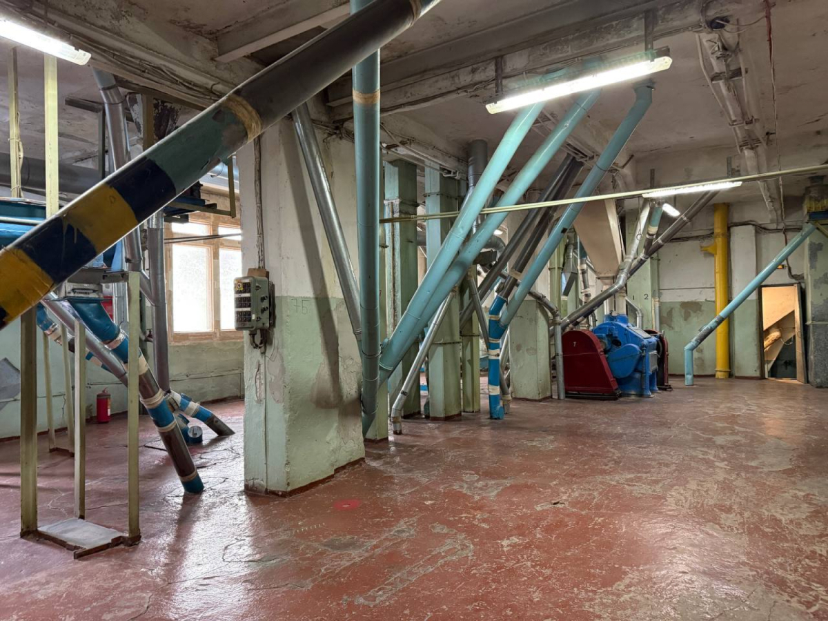 Невская мельница