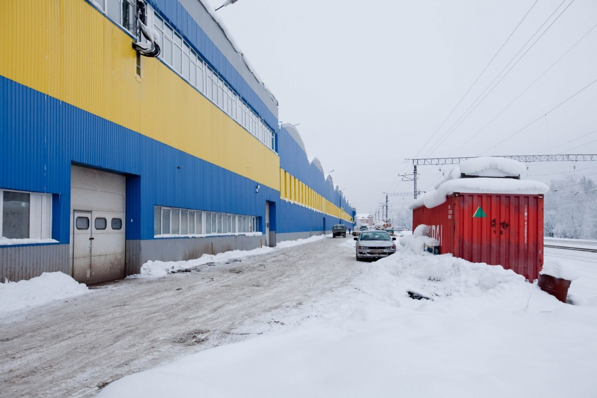 в Парголово