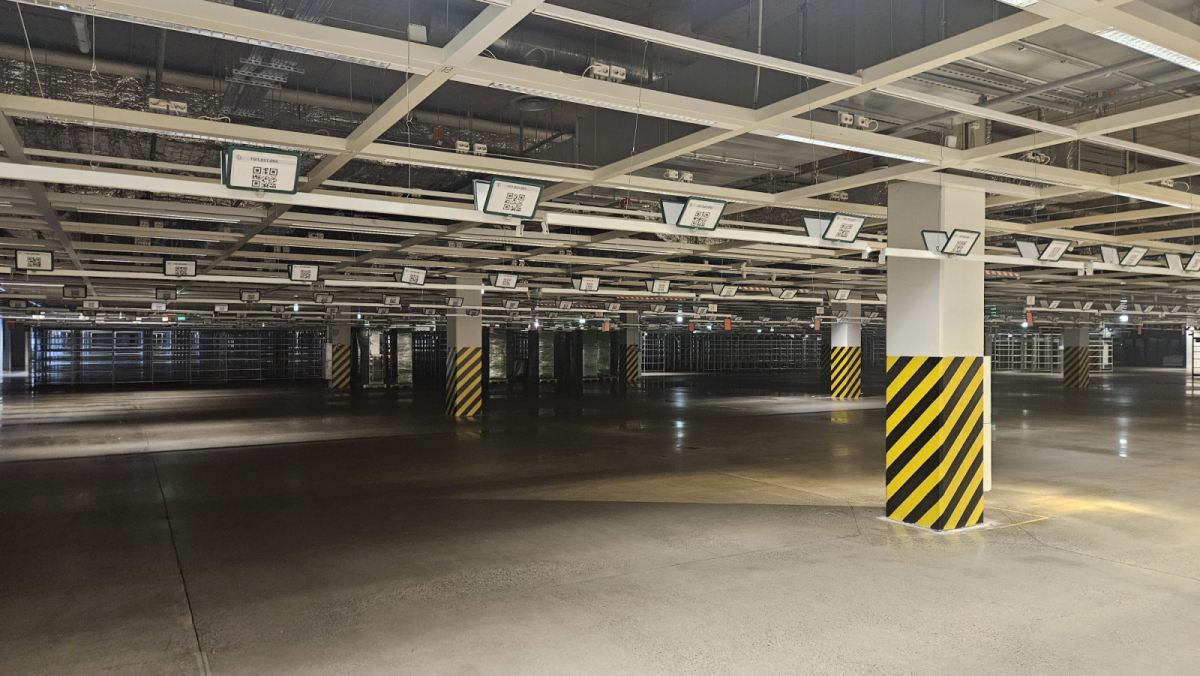 Мега Дыбенко