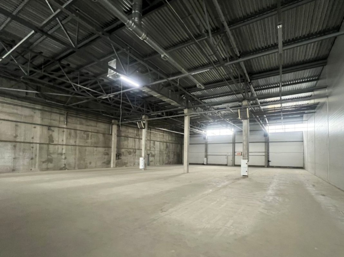 на Таллинском шоссе