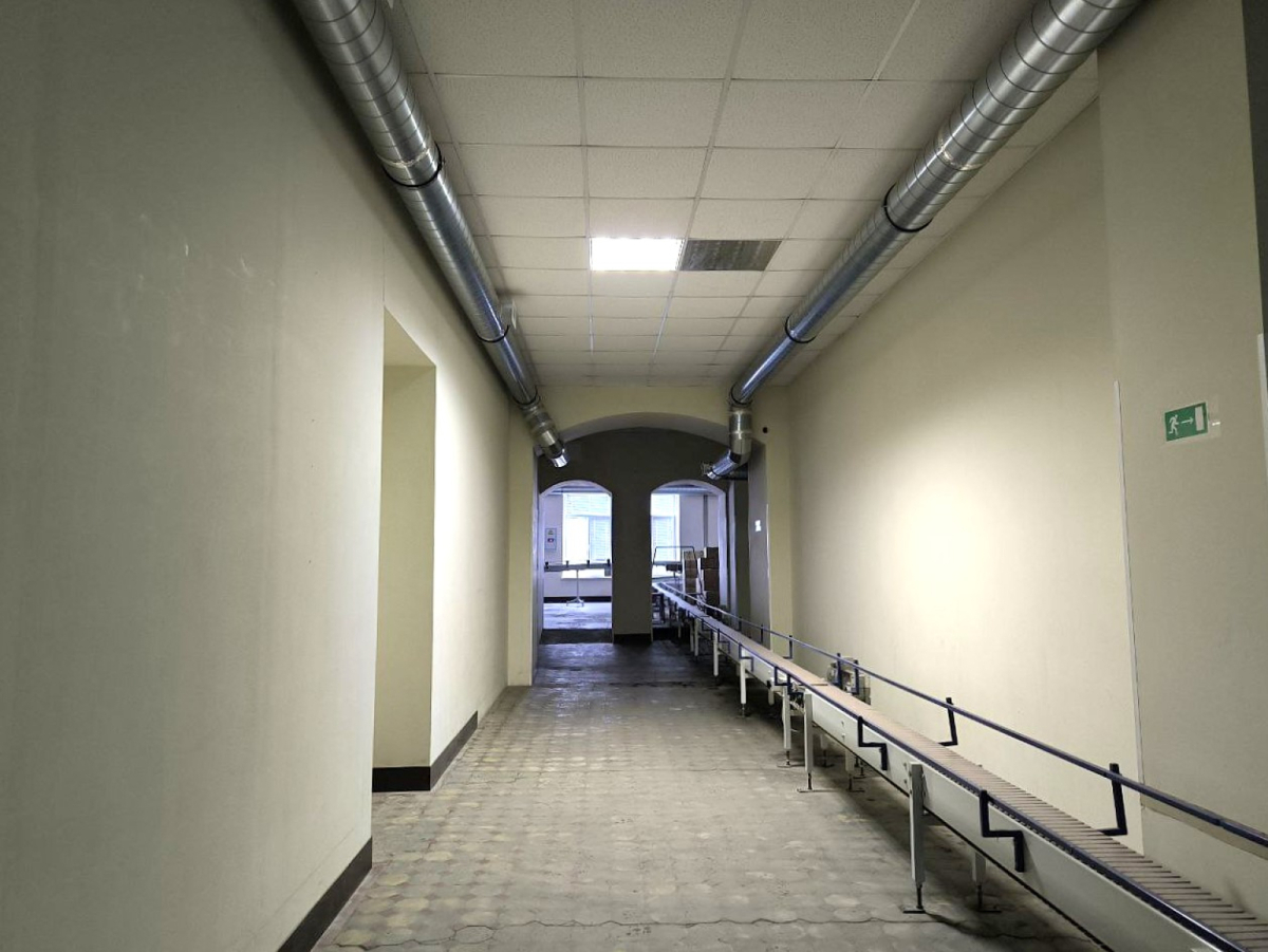 на улице Александра Невского