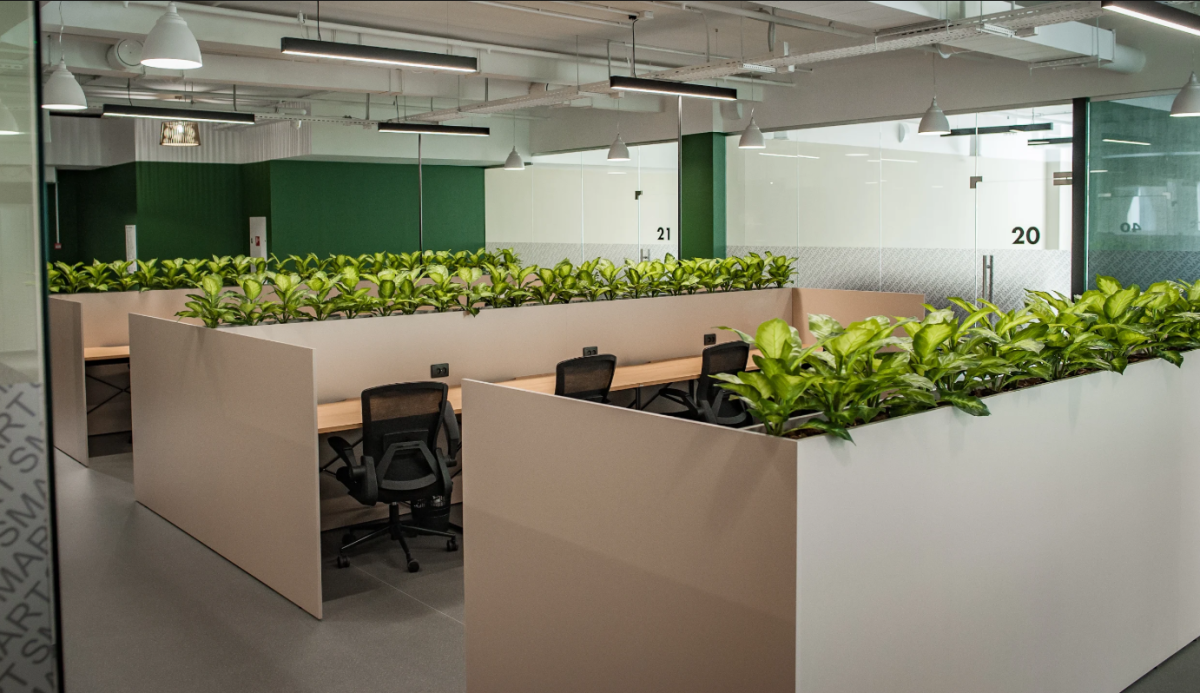 SMART Новгородская