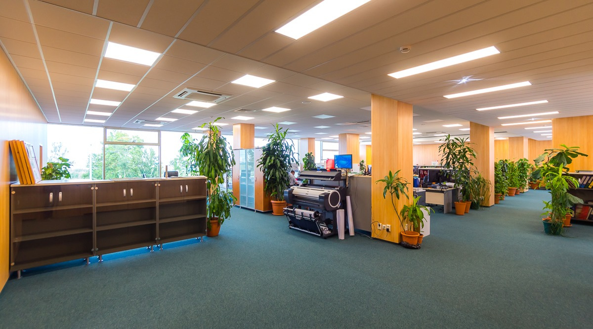 Перспектива