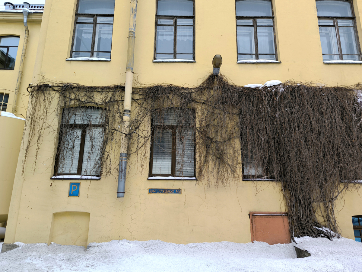 на улице Александра Невского