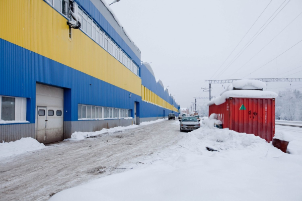в Парголово