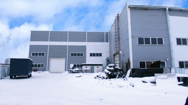 в Новосергиевке