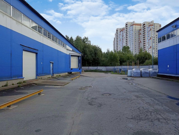 на улице Латышских Стрелков