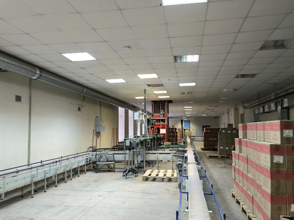 на улице Александра Невского, 6