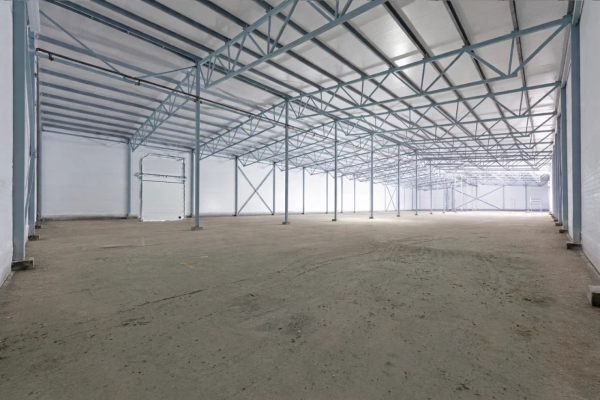 Войсковицы