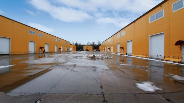 в Новом Девяткино