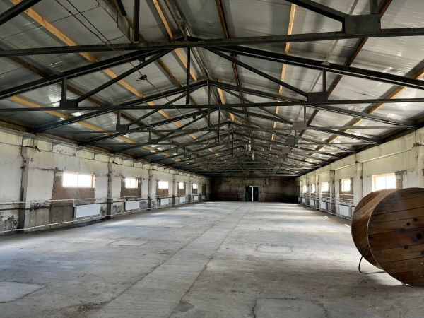 в Новом Свете