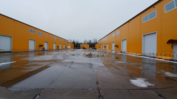 в Новом Девяткино