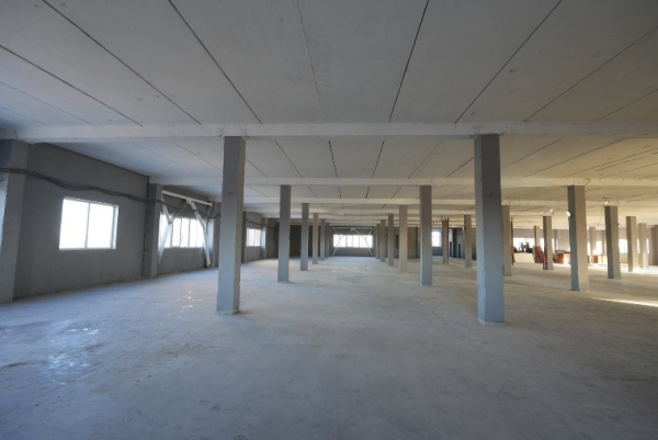 в Красном Селе