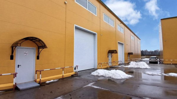 в Новом Девяткино