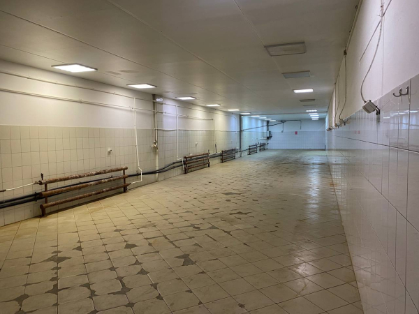 Тандем Истейт