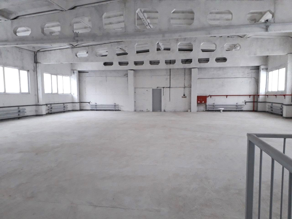 на Кипенской улице