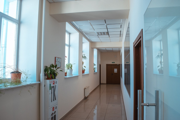 Полюс