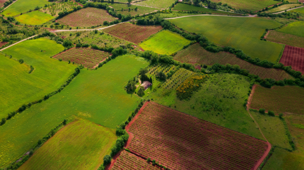 Земельные участки