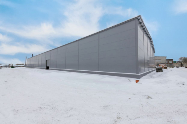 Войсковицы